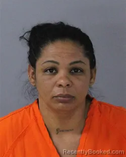 Mugshot of AMALIA DESPAIGNE HERNANDEZ