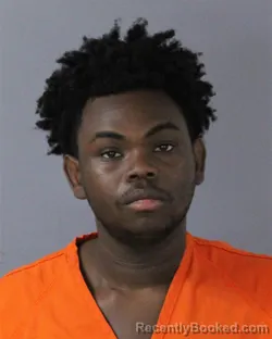 Mugshot of TYRESE JORDAN CAMERON