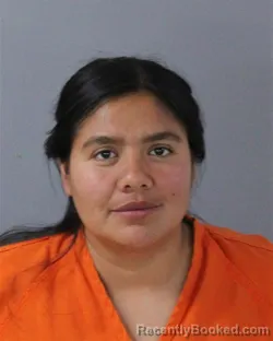 Mugshot of NANCY DOMINGUEZ-YOBAL