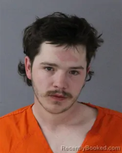 Mugshot of JOHN BLANTON SWEARINGEN