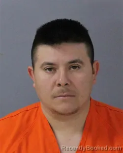 Mugshot of MAYNOR SAUCEDO-CIFUENTES