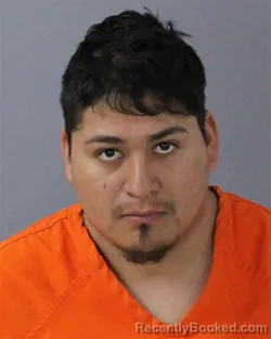 Mugshot of MAGNOLIO SIFUENTES-GALICIA