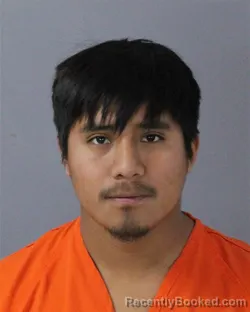 Mugshot of RICARDO PEREZ-ANTONIO