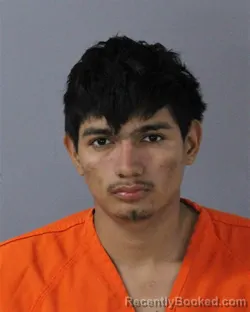 Mugshot of GABINO CANO-SAUCEDO