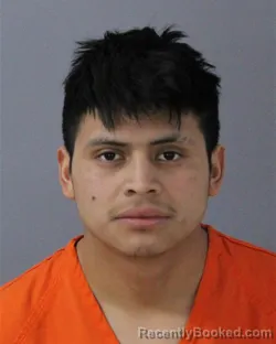Mugshot of MAURCIO PEREZ-FELIZ