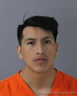 Mugshot of LUCAS TAPIA-TAPIA