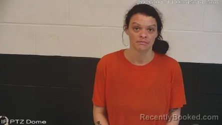 Mugshot of Ashley Irene Collins