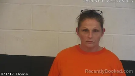 Mugshot of Ashley Lauren Reeves