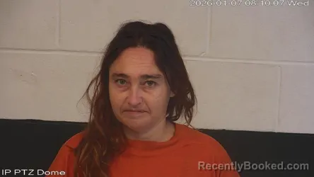 Mugshot of Brandy Elizabeth Rowell