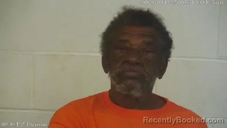 Mugshot of Leesaw Jr Jordan