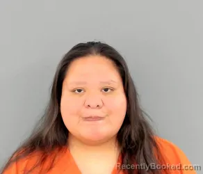 Mugshot of JENA FAYE CLEMMONS