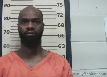 Mugshot of BRYCE T BROWN