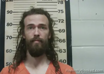 Mugshot of HENRY LAUCHLIN BOERNER