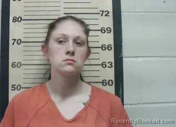 Mugshot of BRANDICE NICOLE BROOKS