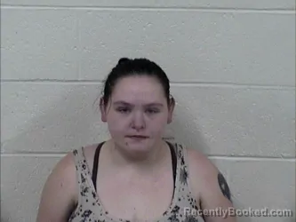 Mugshot of ASHLEY NICOLE HOBSON
