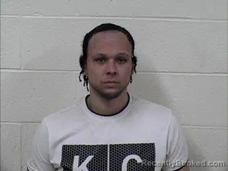 Mugshot of BRANDON EARL FISHER