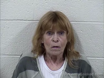 Mugshot of LISA BIRDSONG HALE