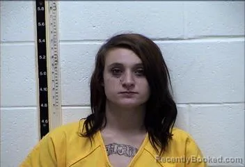 Mugshot of ERICA M HOLSTON