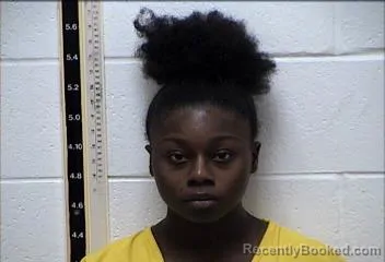 Mugshot of KAYLA DIANE WILSON