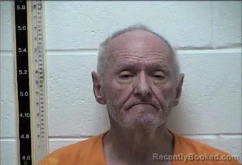 Mugshot of JOHN MITCH LEAVINES