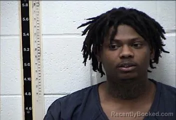 Mugshot of TAMOKO JACOBEE JOHNSON