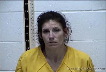 Mugshot of COURTNEY LYNN HEBERT