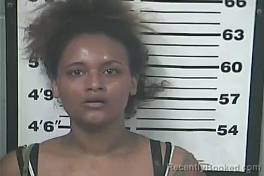 Mugshot of HEIDI COURTNEY