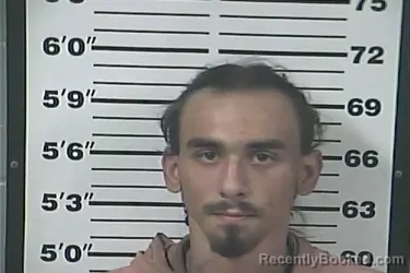 Booking photo from Perry County, Mississippi