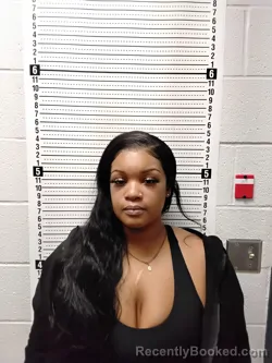 Mugshot of MARYNELL WILLIAMS JOHNSON