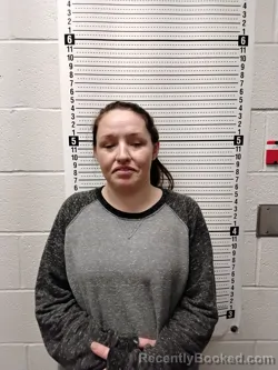 Mugshot of DESTINY LEANN WELLS