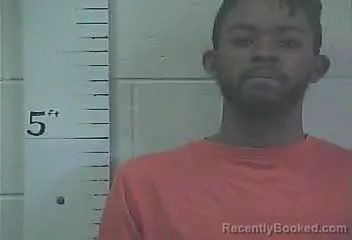 Mugshot of DAVIDYON KING