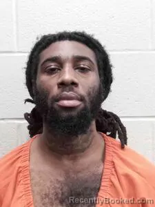 Mugshot of Laterrean Andrenez Bryant