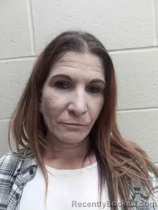 Mugshot of Tanya Renea Diggs