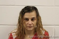 Mugshot of Lana J Butts