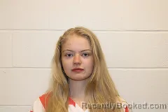 Booking photo from Barry County, Missouri