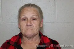 Mugshot of DEBRA WEIR