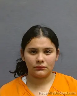 Booking photo from Glades County, Florida