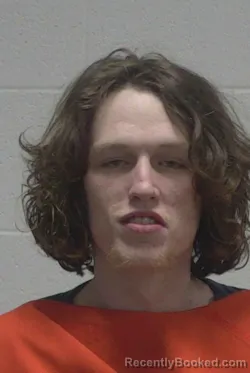 Mugshot of DALLAS PAUL HERRING