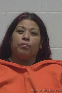 Mugshot of CRISTINA TAPIA GARCIA