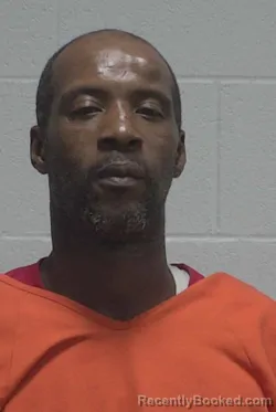 Mugshot of DEHEIDIS QUENTEL WILLIAMS