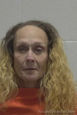 Mugshot of KIMBERLY DALY FIELDS