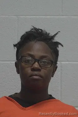 Mugshot of SHAMIKA MAE WILLIAMS