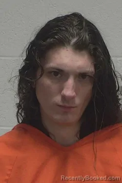 Mugshot of TREVOR VAUGHN BRIGGS