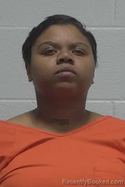 Mugshot of AKIRE INDIGO J CARROLL