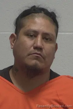 Mugshot of ROJELIO VELASQUEZ