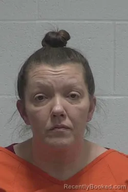 Mugshot of MELISSA DAWN VANDIFORD