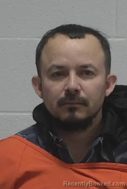 Mugshot of BRIJIDO MURILLO SALDANA