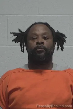 Mugshot of EVERETTE LAMONTE MCKINNEY