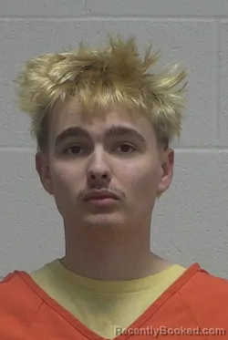Mugshot of BRIAN JACOB KAUPA
