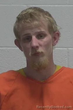 Mugshot of JAMES AUSTIN WILKINS